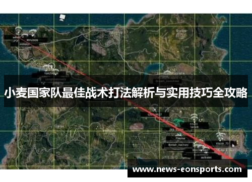 小麦国家队最佳战术打法解析与实用技巧全攻略